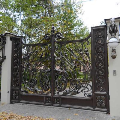  Art forging metal door