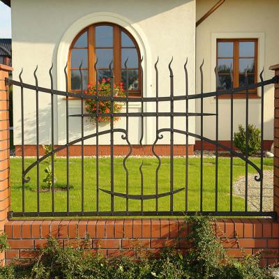 Custom iron fence