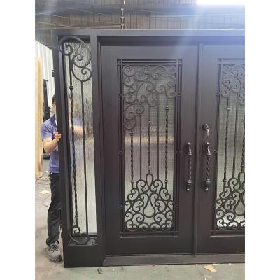 2022 new wrought iron double doors with side windows