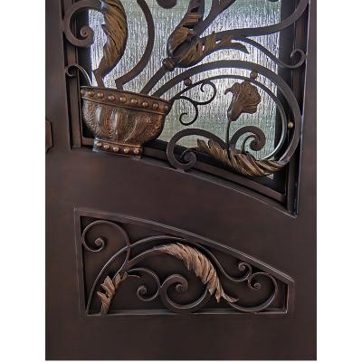 High-end quality double glazing and wrought iron front door