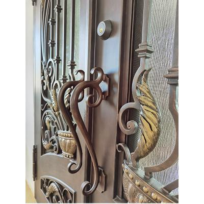 High-end quality double glazing and wrought iron front door