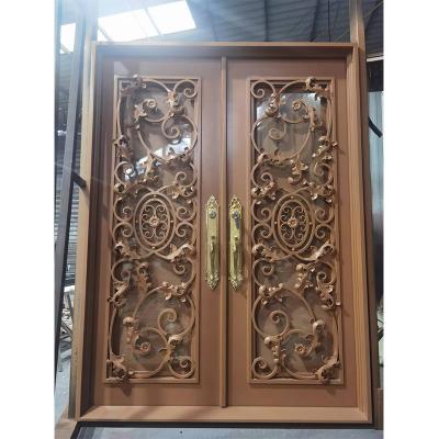 Rectangle Wrought Iron Double Door Design