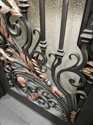 Wrought Iron Entry Door