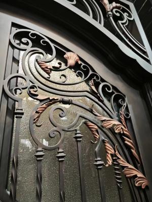 Wrought Iron Entry Door