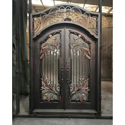 Wrought Iron Entry Door