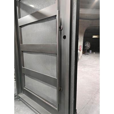 Minimalist Black Single Iron Entry Door