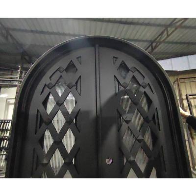 Mesh Design Wrought Iron Entry Door