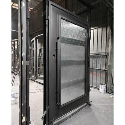 Minimalist Black Single Iron Entry Door