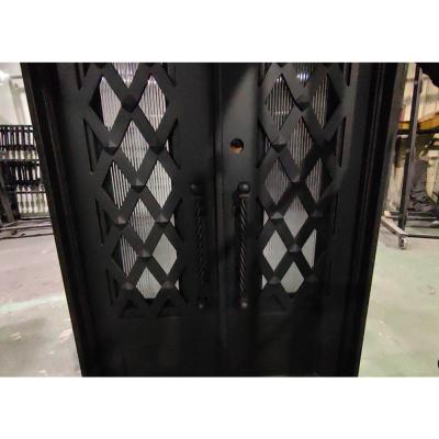 Mesh Design Wrought Iron Entry Door