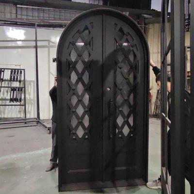 Mesh Design Wrought Iron Entry Door